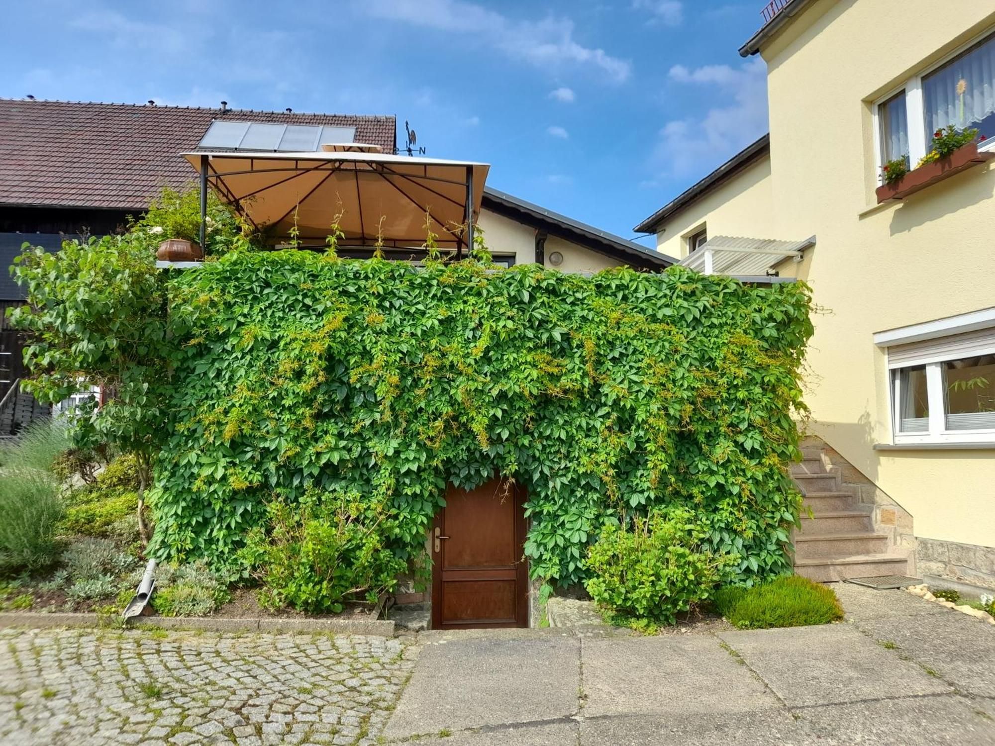 Wolfsbergblick Apartment Reinhardtsdorf-Schona Exterior photo